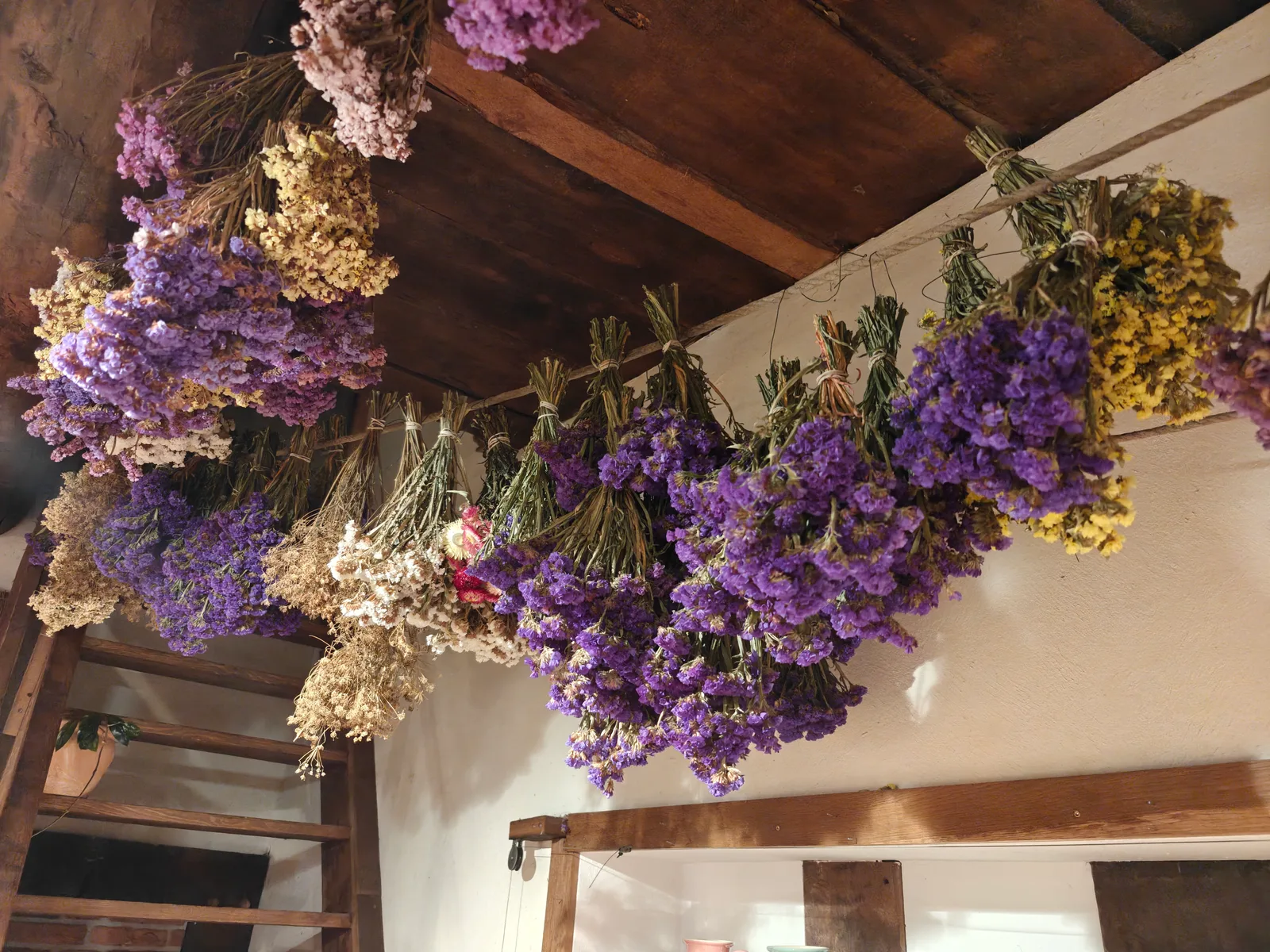 Gedroogde lavendel en bloemen hangend aan een balk